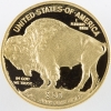 American gold buffalo back