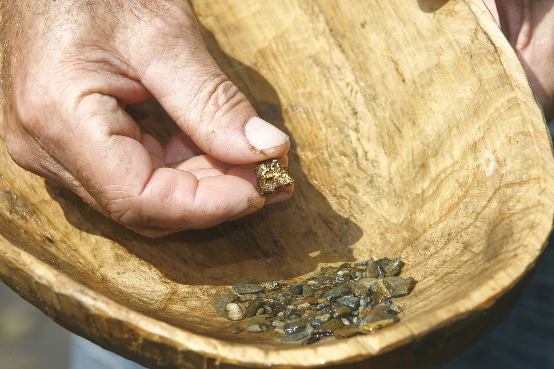Separating gold from pebbles in wood container
