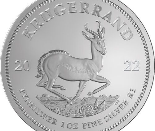 South Africa Krugerrand 1 oz Silver Coin