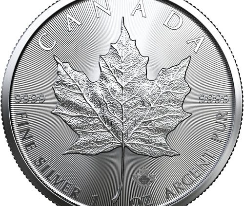 Canadian Maple Leaf 1 oz Silver Coin