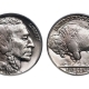 Buffalo Nickels / Indian Head Nickel